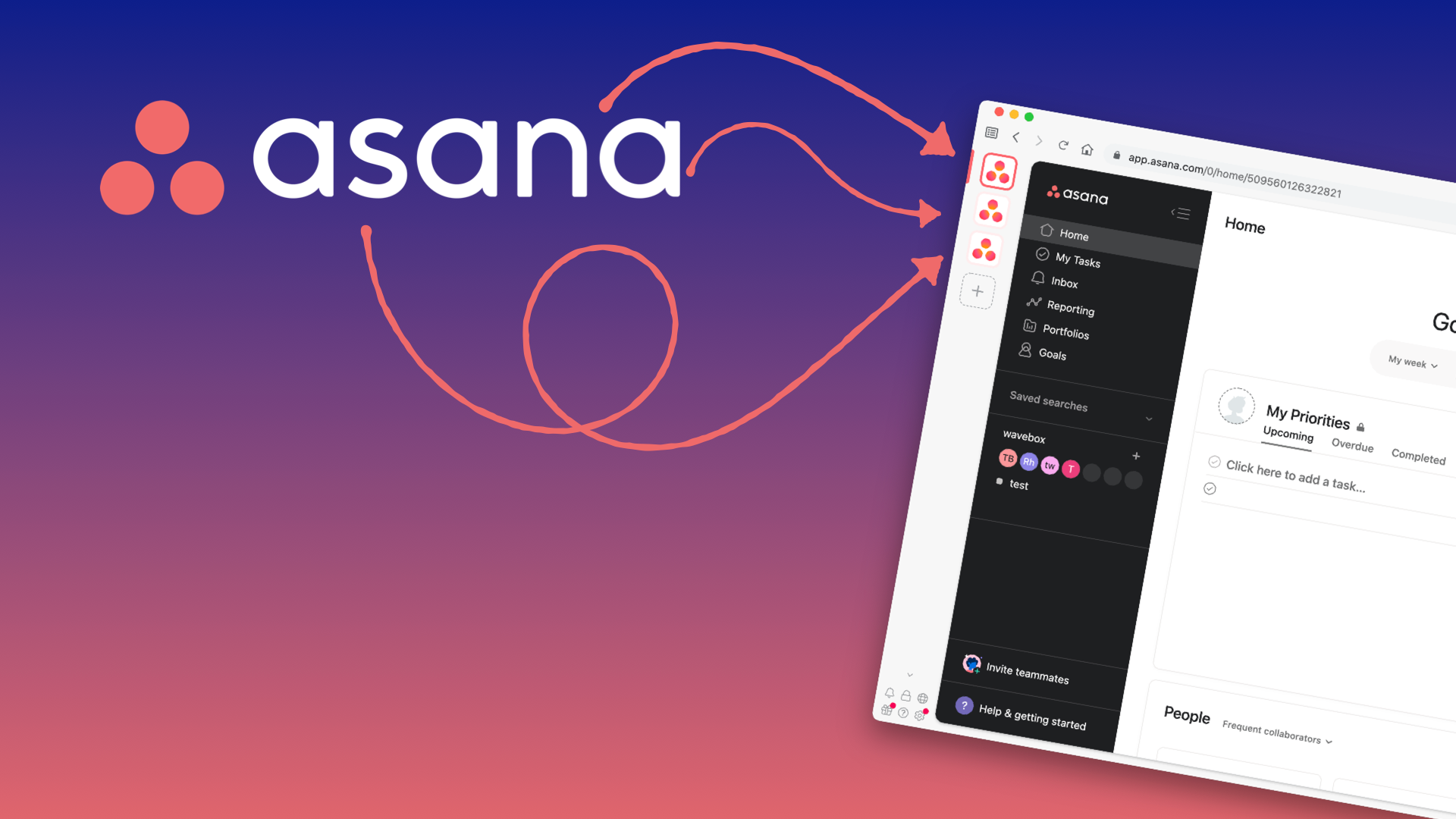 Asana software