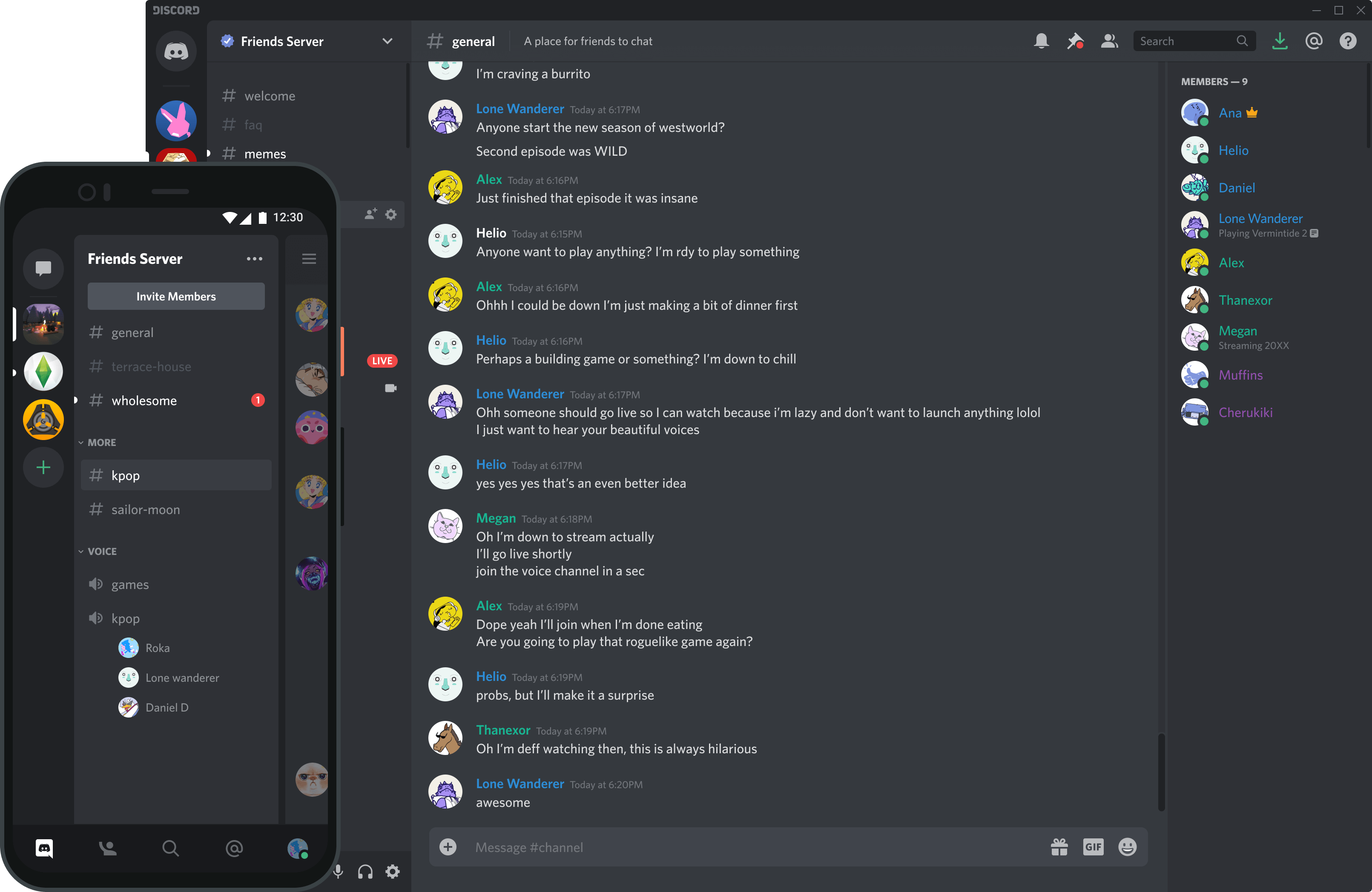 Discord software